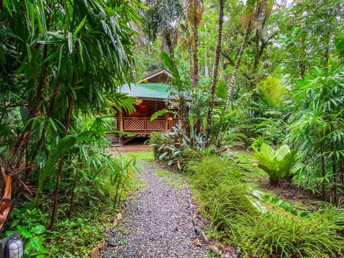 Finca Chica Lodge & Villas Puerto Viejo de Talamanca Luaran gambar